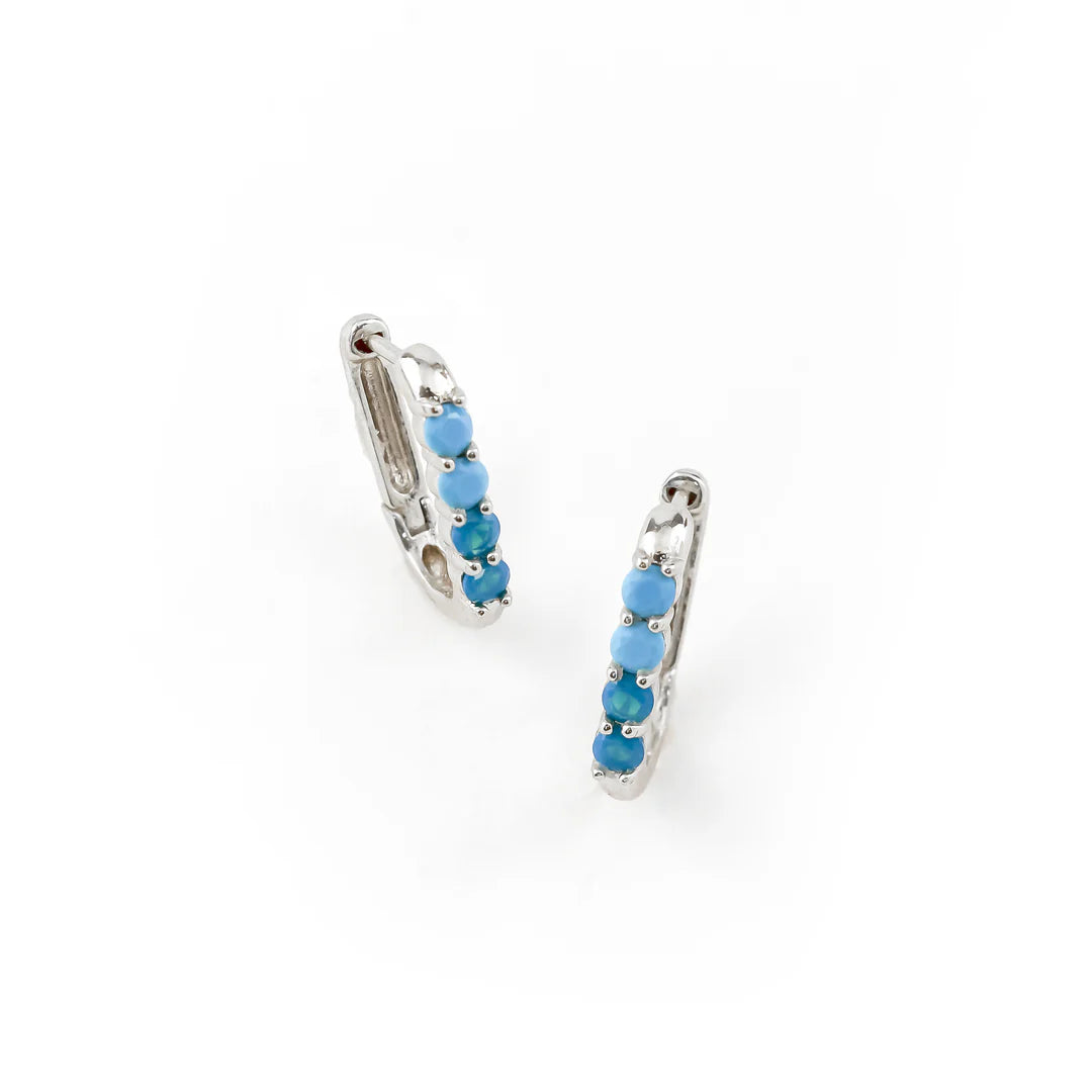 Erimish Cayman Turquoise Earrings