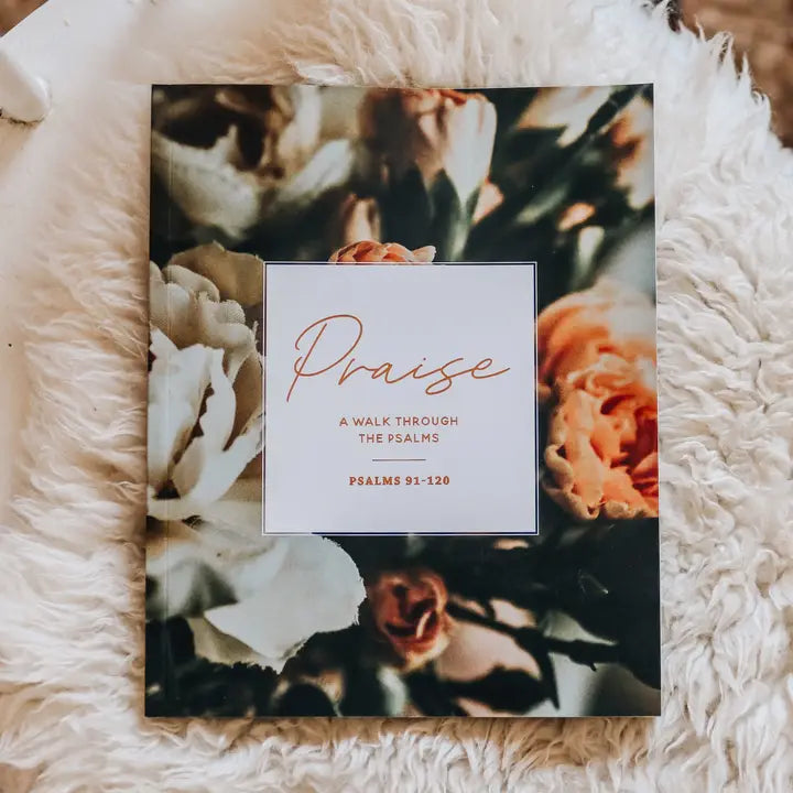Praise Bible Study | Psalms 91-120