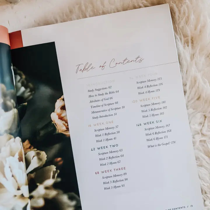 Praise Bible Study | Psalms 91-120
