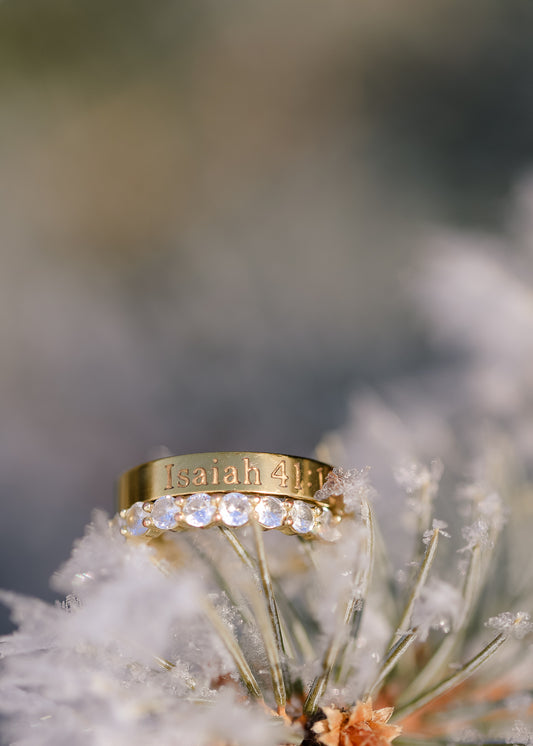 Isaiah 41:10 Ring