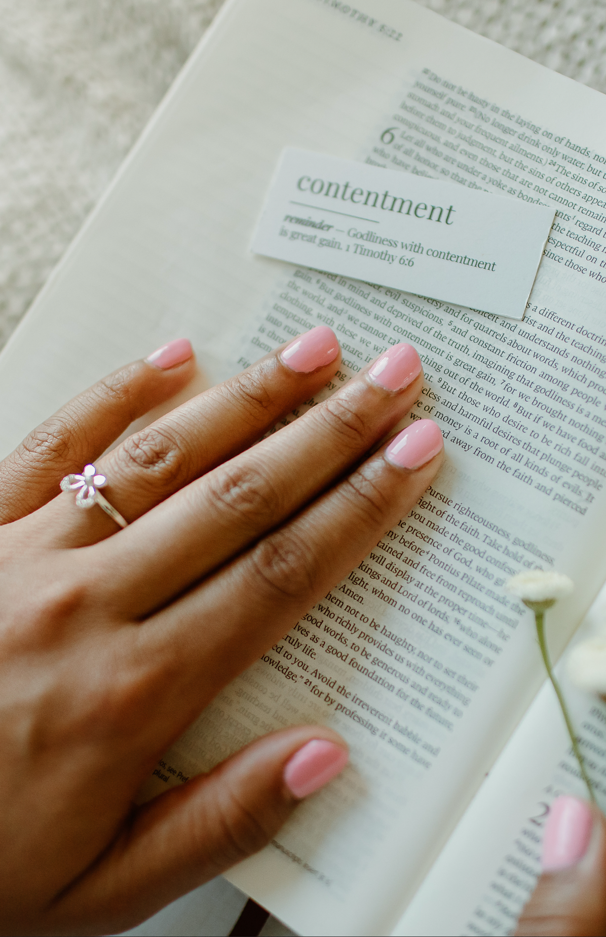 Pre-order contentment